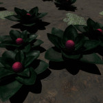 CMDR Tiberius Vaako, Aleoida gravis, Hypoae AIN WA-F d11-35, B7