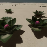 CMDR Tiberius Vaako, Aleoida gravis, Eafots OS-B d13-26, 5E