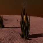 CMDR Tiberius Vaako, Aleoida spica, Heart Sector FB-W b2-0 C1