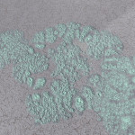 CMDR Banteay Srei, Bacterium Cerbrus, Hypou Aim KT-I d9-50, 2 a