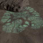 CMDR Judson Crandall, Bacterium Cerbrus, WREDGUIA US-U D2-14 C3