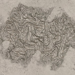 CMDR Hanna Hunter, Bacterium acies, Slegeae UW-Z b46-0, 8