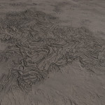 CMDR NuandaWM, Bacterium acies, Slegeae NY-J c24-0, 6