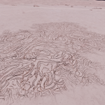 CMDR Fly34, Bacterium acies, Prua Phoe LW-R a86-72, 2