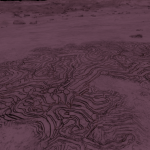 CMDR Sayaka, Bacterium acies, Slegeae BZ-U a98-1, 5