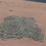 CMDR Tiberius Vaako, Bacterium aurasus, Seagull Sector IR-W d1-8, 7 A