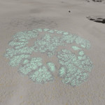 CMDR NuandaWM, Bacterium cerbrus, Eafots BF-R e4-11, 10 e