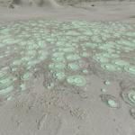 CMDR Recluso, Bacterium cerbrus, Flyua Eork GC-J d10-6, 6