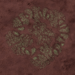 CMDR ArkannFR49 , Bacterium cerbrus, Eafots AX-R b32-0 , C 5