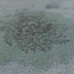 CMDR Grabulon, Bacterium informem, Synuefue TL-J B56-0, 1 A