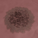 CMDR Banteay Srei, Bacterium informem, Bubble Sector SO-H a10-2, 1