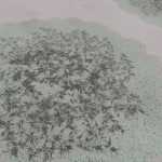 CMDR Fly34, Bacterium informem, Ploea Theia WC-H c24-0, 3 a