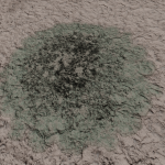 CMDR Grabulon, Bacterium informem, Synuefue TL-J B56-0, 1 A