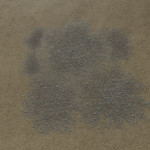 CMDR Banteay Srei, Bacterium tela, Gludgaa HP-A d37, B 3