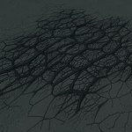 CMDR Banteay Srei, Bacterium verrata, Seagull Sector HW-W c1-3, 11