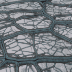 CMDR Luwen Elthan, Bacterium verrata, Prua Phoe FR-G b29-17, 6d