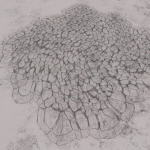 CMDR mearmortal, Bacterium vesicula, NGC 2353 Sector JR-W d1-13