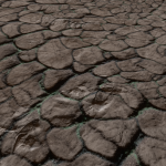 CMDR Luwen Elthan, Bacterium vesicula, Swoiwns ID-F b3-2, 4