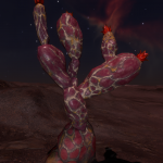 CMDR Grokwix, Cactoida cortexum, Crescent Sector IH-V c2-11, C 3