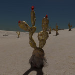 CMDR Warmind, Cactoida cortexum, Plio Euq WL-C D13-0, 6 F