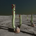 CMDR NuandaWM, Cactoida pullulanta, Slegeae GZ-E d12-3, 6