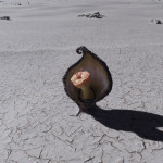 CMDR Banteay Srei, Clypeus Lacrimam, Hypou Aim KT-I d9-50, 2 a