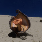 CMDR Tiberius Vaako, Clypeus lacrimam, Skaudai PJ-G d11-13, 6 A