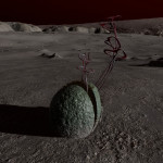 CMDR Banteay Srei, Concha aureolas, Skaudai YA-D d13-88, 5 e