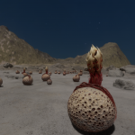 CMDR Fly34, Concha labiata, Slegeae PI-S c20-0 AB, 1 e