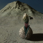 CMDR Tiberius Vaako, Concha labiata, Eafots JG-D d6-16, 3C