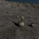 CMDR Gergg, Concha labiata, Synuefai KF-C D14-58