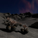 CMDR Tiberius Vaako, Concha renibus, Seagull Sector PT-Q b5-0 B4