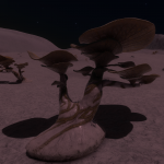 CMDR Ordinazen, Fonticulua Campestris, Ploi Thua GI-Y b0, C 2