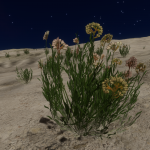 CMDR Ordinazen, Frutexa Sponsae, Skaudai CH-B d14-34, 2 a