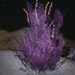 CMDR Slyder011, Frutexa acus, NGC 6871 Sector IS-S C4-7, 8 B