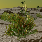 CMDR Nozdus, Frutexa flabellum, Outotz KH-D d12-20, A 3 d