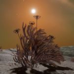 CMDR Kazahnn Drahnn, Frutexa  flabellum, Heart Sector TY-R b4-1, A 1 a