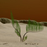 CMDR Hanna Hunter, Frutexa flammasis, Skaudai CH-B d14-34, 4 d