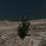 CMDR Tiberius Vaako, Frutexa acus, Wredgeou XV-M d7-1, 1 D