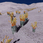 CMDR Banteay Srei, Fungoida Gelata, Hypou Aim KT-I d9-50, 2 a