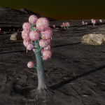 CMDR ArkannFR49 , Fungoida bullarum, Eafots PP-X b15-0 , 1