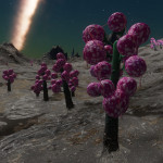 CMDR Skyppie, Fungoida bullarum, Hypoae Ain SL-W b43-2