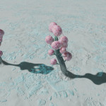 CMDR Banteay Srei, Fungoida bullarum, Col 89 Sector VO-Z d36, 7