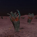 CMDR Skyppie, Fungoida gelata, Hypoae Ain YA-F d11-19 AB 2 c