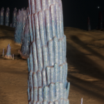 CMDR Slyder011, Fungoida stabitis, NGC 6871 Sector IS-S C4-7, 8 B