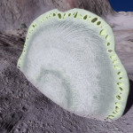 CMDR Banteay Srei, Osseus Discus, Hypou Aim KT-I d9-50, 2 a