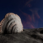 CMDR Tiberius Vaako, Osseus discus, Seagull Sector PT-Q b5-0 B4