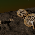 CMDR Grabulon, Osseus pumice, Cave Sector BV-X B1-0, 2