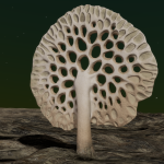 CMDR Nozdus, Osseus pumice, Flyooe Eohn YL-G b3-1, A 2
