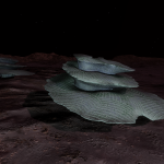 CMDR AmigatorBack, Osseus spiralis, Slegeae YJ-F b31-0, B 2